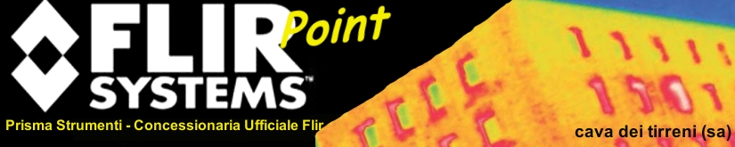 Flir camere termografiche per edilizia, termografia flir vendita camere termografiche